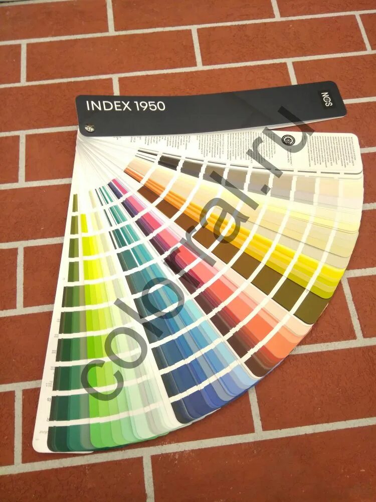 Веер цветов ncs index 1950. Колеровочный веер тиккурила. Ncs index 2050. Веер ncs index 1950. Ncs 1950.