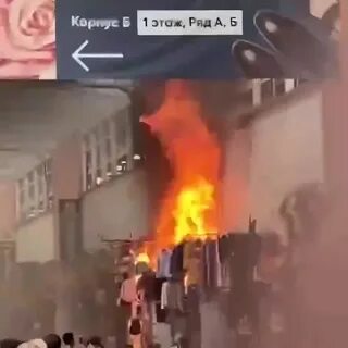 Садовод гори
