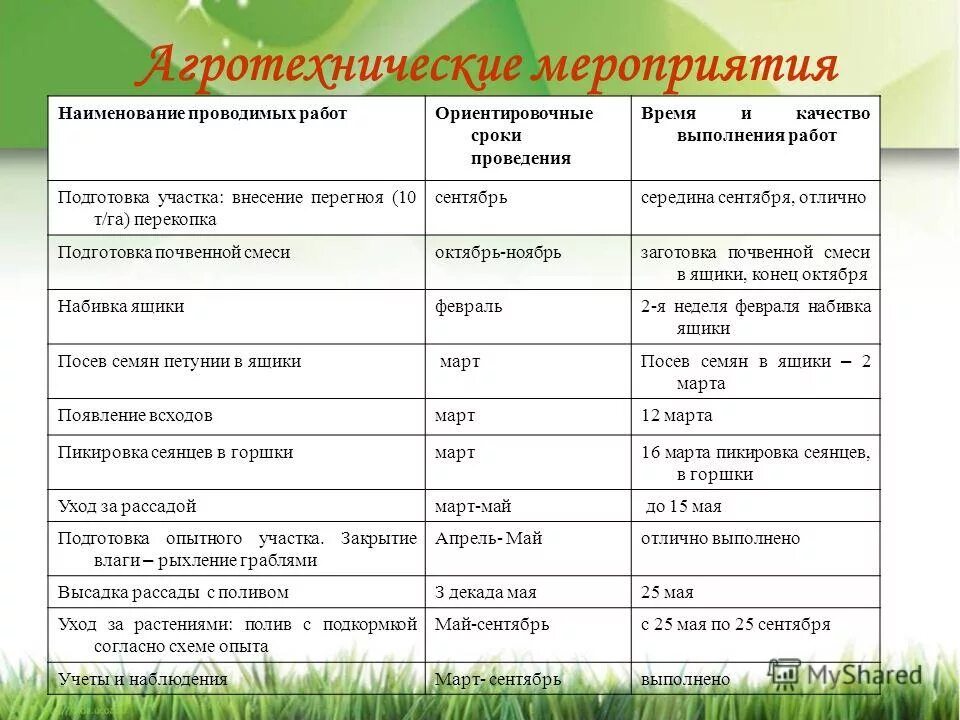 Наименование выполнения работ. Наименование проводимых работ. Учебно-методические сборы название. Выполненные работы. Наименование проводимых работ.