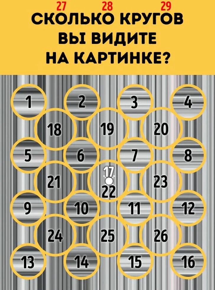 Головоломки здесь. Сколько кругов на картинке. Сколько кругов вы видите на картинке. Сколько кругов на картинке с ответами. Сколько кругов вы увидели на картинке.