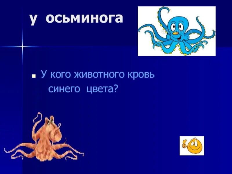 Осьминог какой класс животных. Голубая кровь осьминога. кровь осьминога голубого цвета.