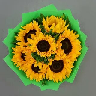 7 подсолнухов