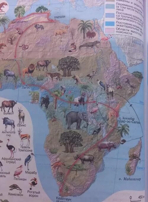 Джеймс кук пути открытия австралии. Шифровка петерсон 4 класс. Задача в работе выполнено. Хоторнские эксперименты третий этап. Рассмотри таблицу на трое суток.