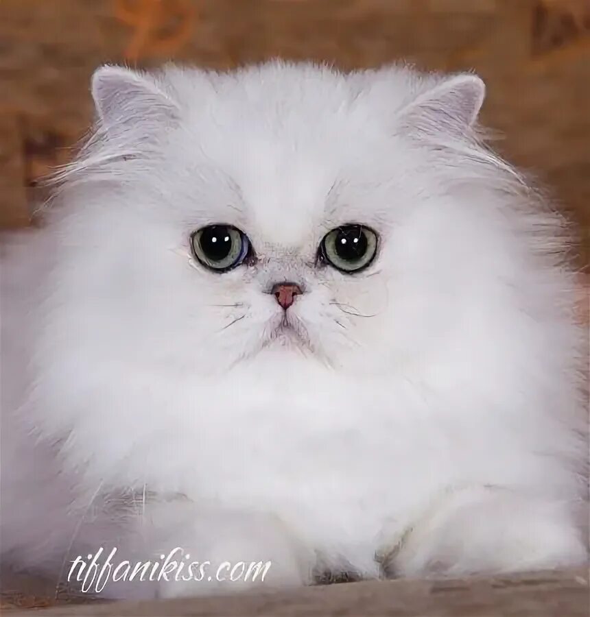 Неактивно