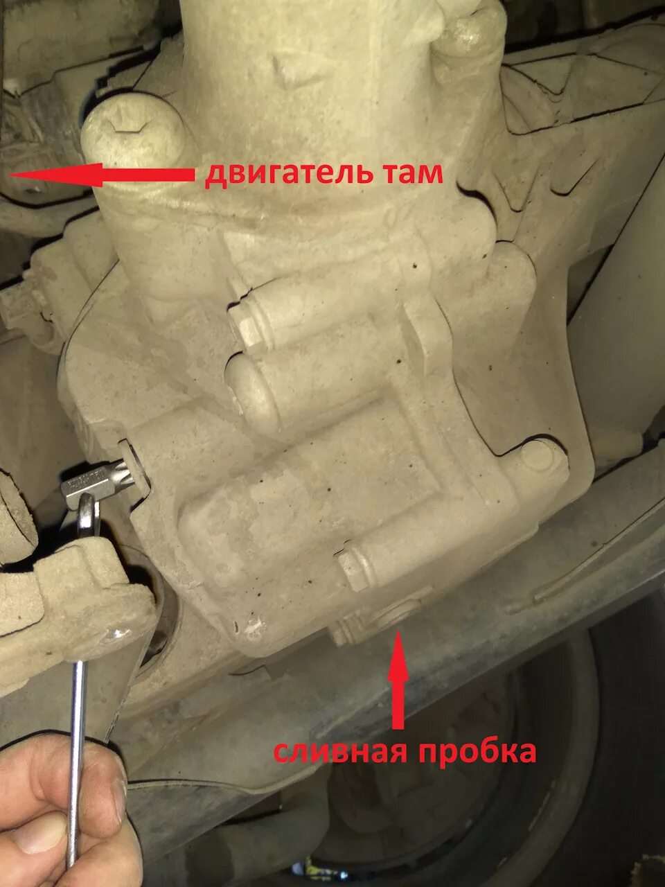 Volkswagen Amarok 2016г, 180 л.с., 2.0л замена масла в переднем мосту . - DRIVE2