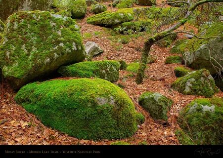 Moss rocks