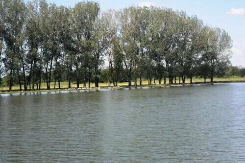 Погода в станице сергиевской даниловского