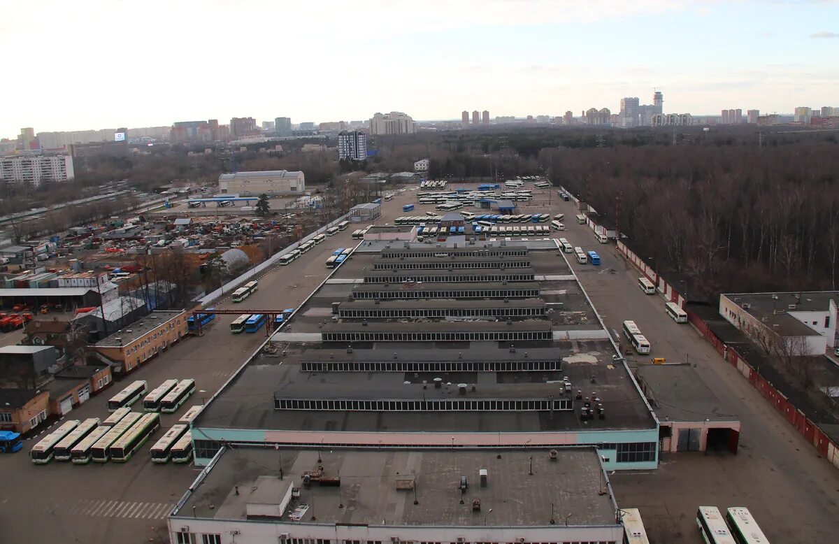 Зеленоградский автокомбинат автобусы. Первый автокомбинат москва. Директор зеленоградского филиала мосгортранс. Зеленоградский автокомбинат. Зеленоградский автокомбинат туринек.