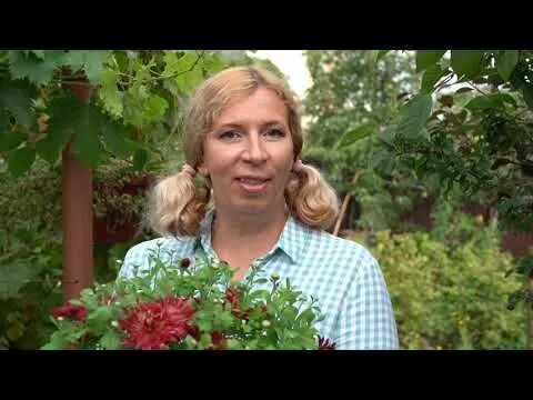 Рыкалина марина владимировна биография личная жизнь Орхидея. Мастер класс.Марина Рыкалина и Виталий Декабрев. Дачные радости. Орхиде