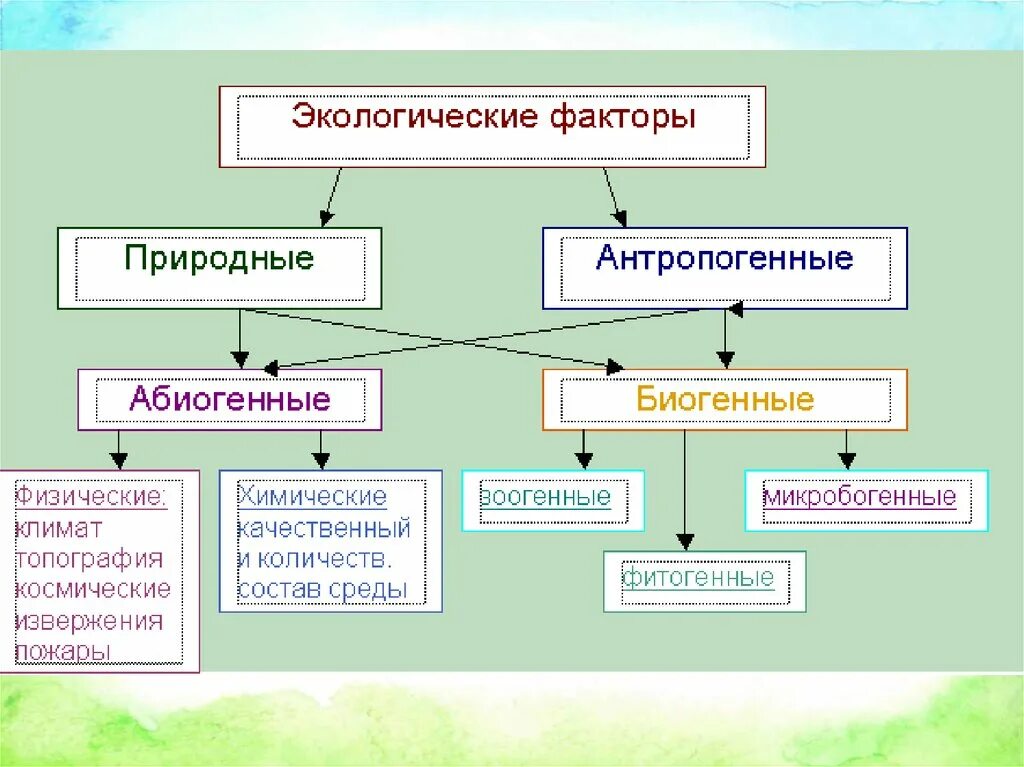 Дайте определение понятия экологический фактор. Виды экологических факторов среды. Группы экологических факторов схема. Взаимосвязь экологических факторов схема. Какие факторы экологии.