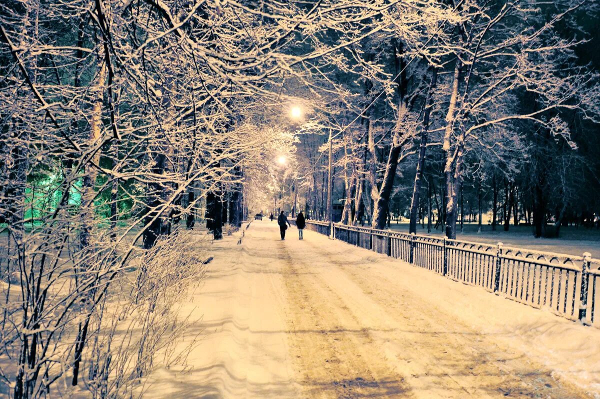 Зимняя прогулка в городе. Зимняя вечерняя прогулка. Зимний парк. Зима в парке.