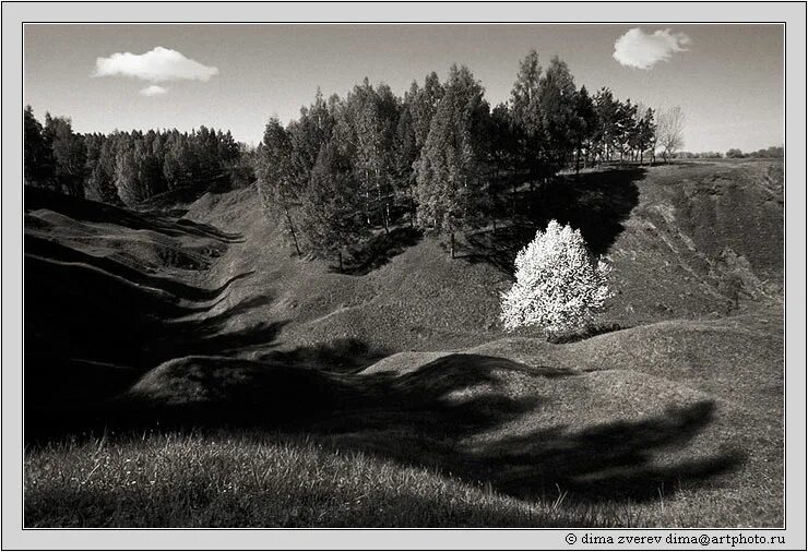 Заповедник сукок. Овраг черно белые. Темно овраг. Большой овраг в лесу. Овраг в лесу.
