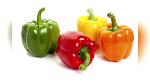 Sweet pepper