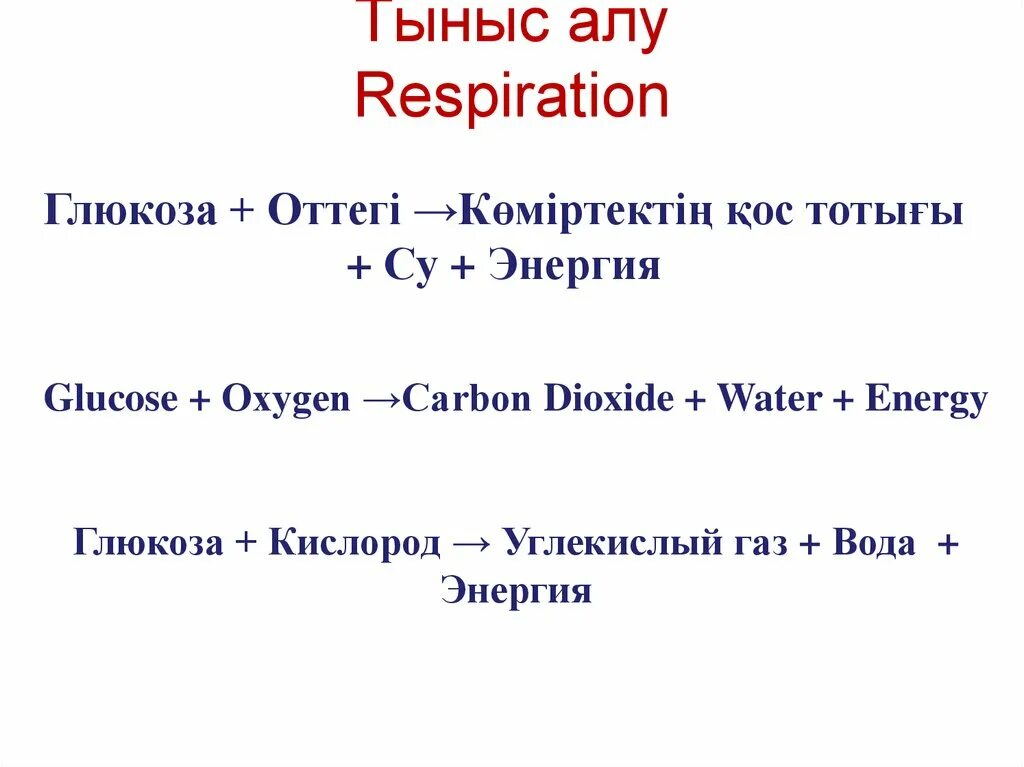 Тыныс алу энергия. Анаэробы тыныс алу формула. Тыныс алу процесі 7 сынып химия презентация. Тыныс алу презентация 6 класс. Сан алу