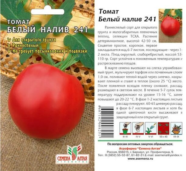 Сорт томатов белый налив отзывы. Сорт помидор белый налив 241. томат белый налив 241 характеристика. белый налив томат характеристика и описание сорта. сорт помидор белый налив.