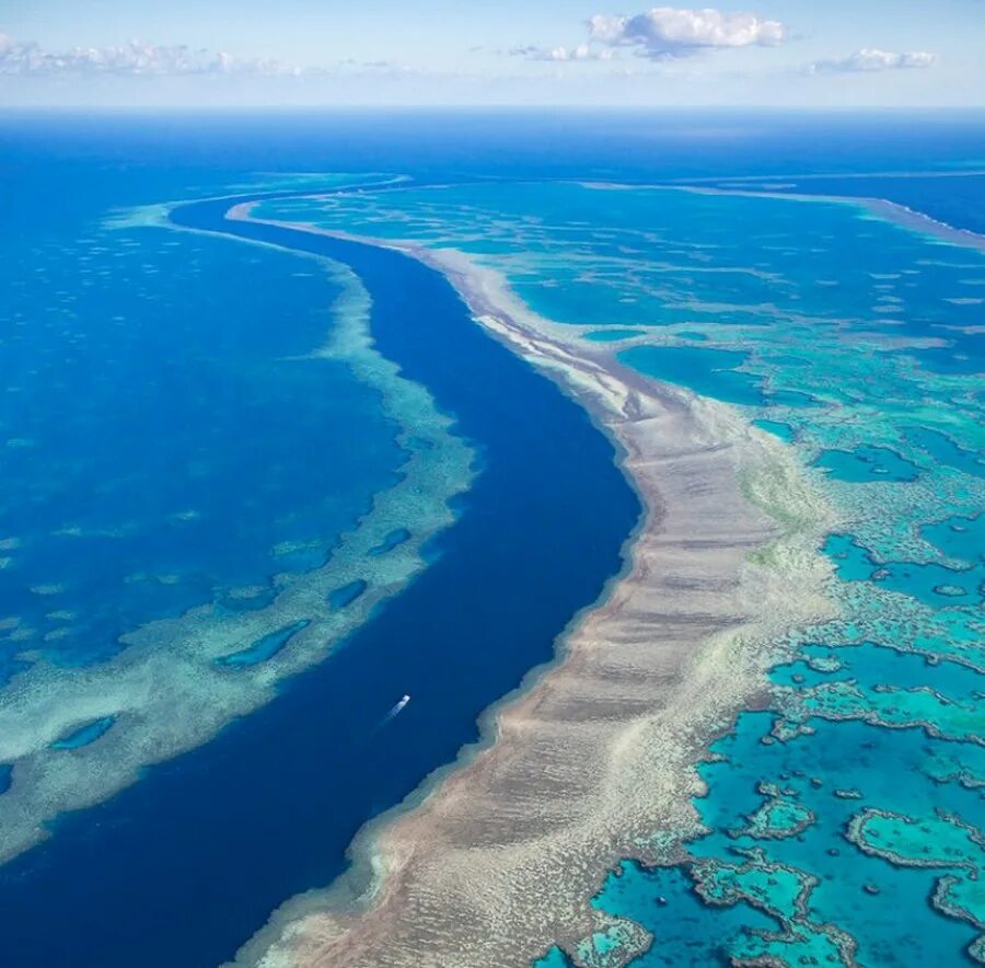 Самые большие моря мирового океана