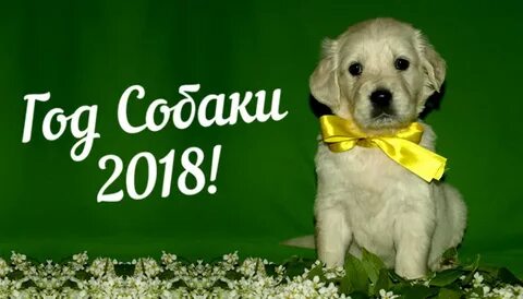 Ждем 2018 год