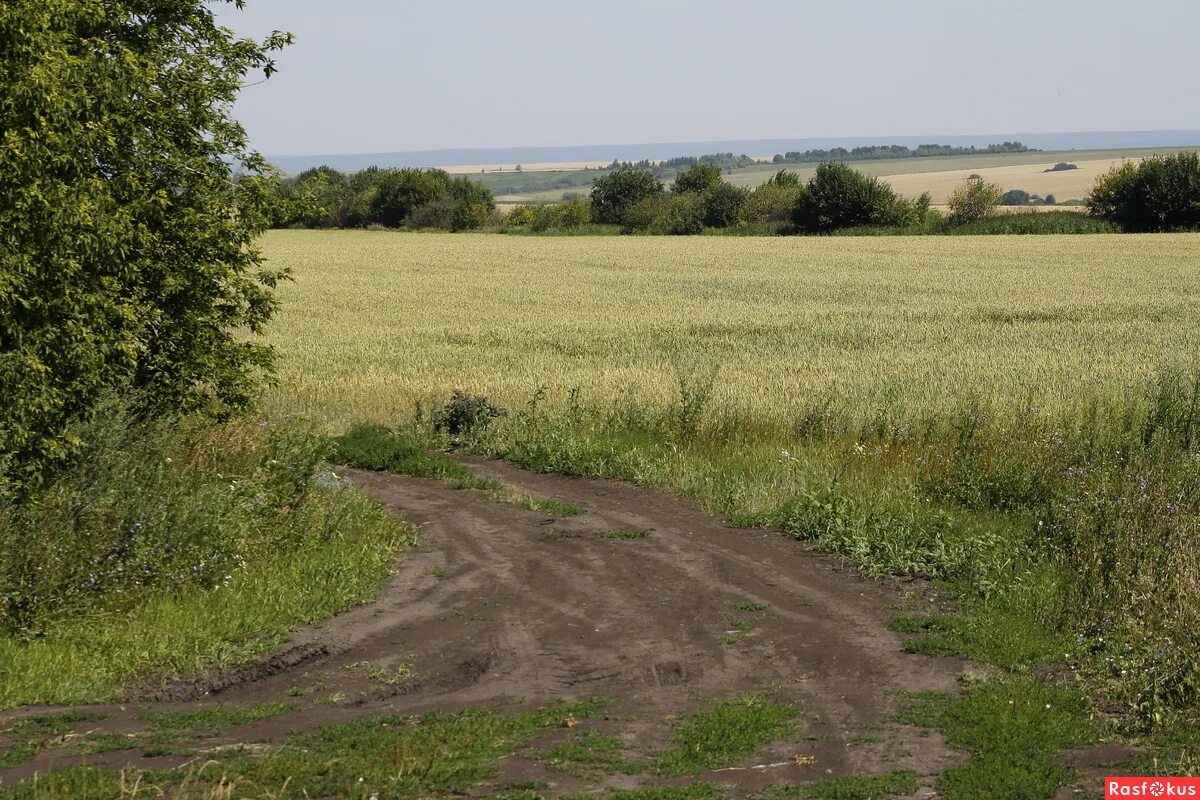 Село красные горки нижегородская область. Красная горка Нижегородская область Пильнинский район. Пильнинский район село красная горка. Село красная горка Нижегородская область Пильнинский район. Красная горка Нижегородская область Пильнинский район сельсовет.