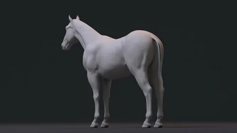 3d horse