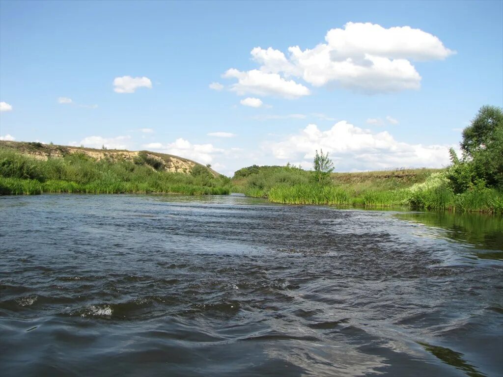Река олым курская область. Погода курская область село олым. Купино храм. Олым курская область. Река олым курская область.