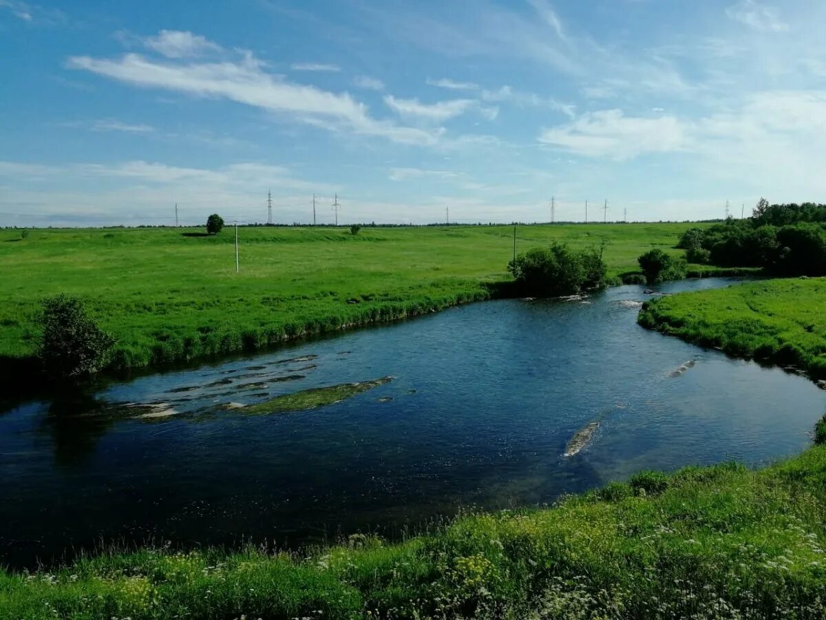 Пудомяги фото. Пудомяги гатчинский. 1 линия пудомяги. Пудомяги ленинградская область. Поселок пудомяги ленинградская область гатчинский район.
