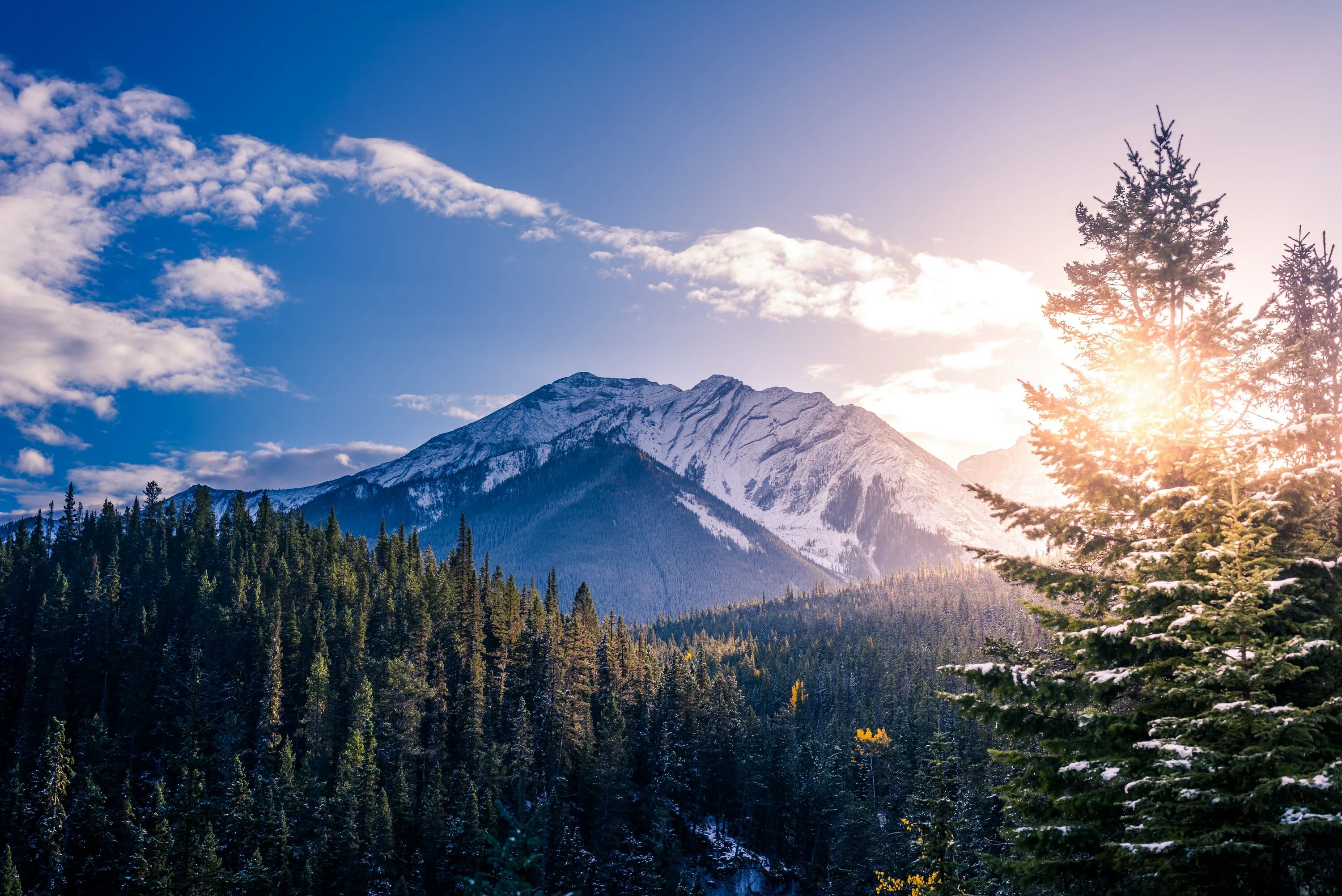 Национальный парк Банфф, Канада. Сиэтл гора Рейнир. Горные вершины Канада. Уайт-Маунтинс (национальный парк). Лес горы слились все