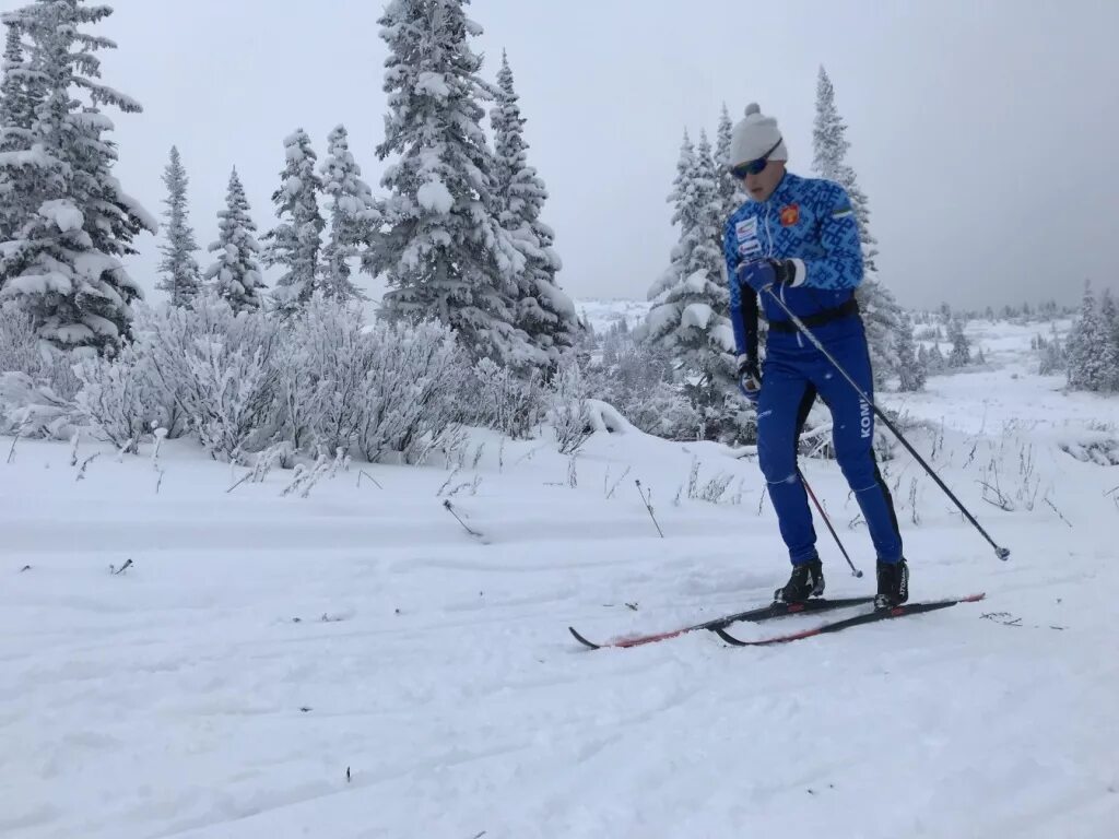 Лыжники коми