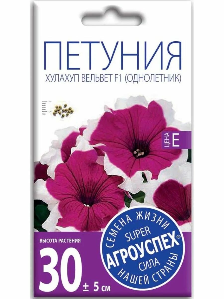 Петуния ампельная семена. Петуния ампельная парпл вельвет f1. Петуния вельвет f1. Петуния парпл вельвет f1. Петуния вельвет описание.