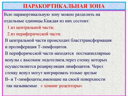 Нейтрализованные зоны