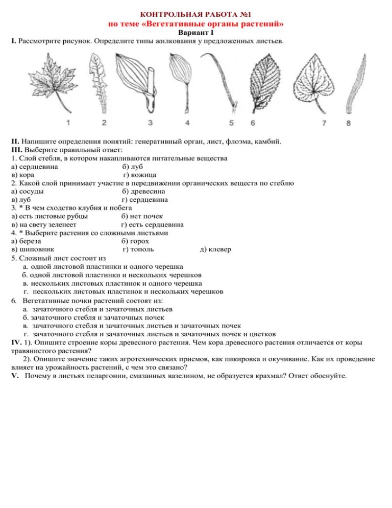 Органы растения 6 класс биология контрольная