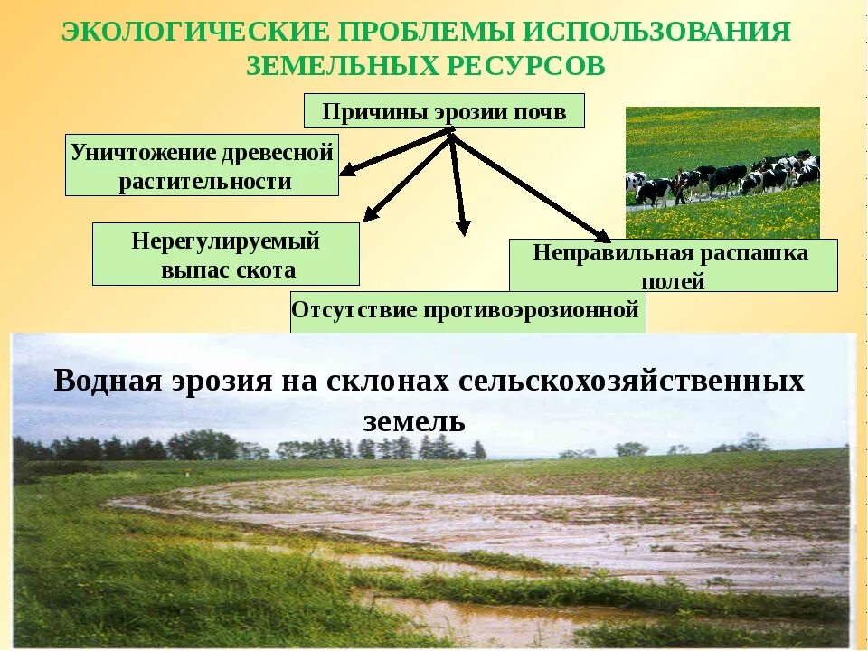 Что из перечисленного связано с экологичным образом. Проблемы использования земельных ресурсов. Экологические проблемы земельных ресурсов. Экологические проблемы использования земельных ресурсов. Проблемы рационального использования земельных ресурсов.