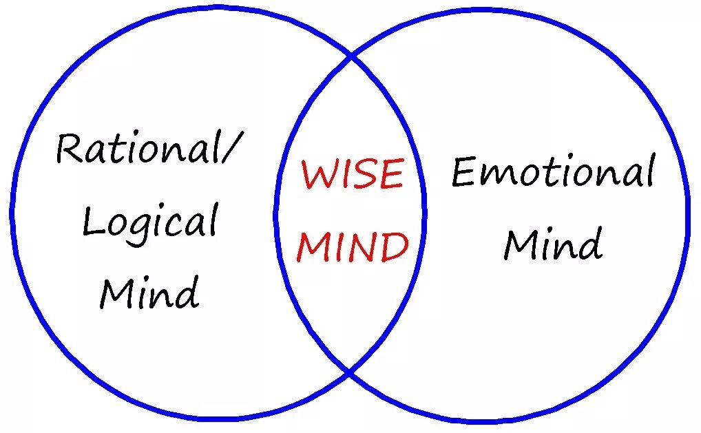 It s logical. Wise mind. emotional/logical. wise организация лекция. wise mind bachs.