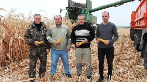Вакансия зерновых