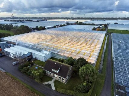 Holland farming