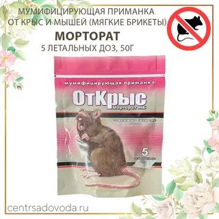 Мумифицировать мышей