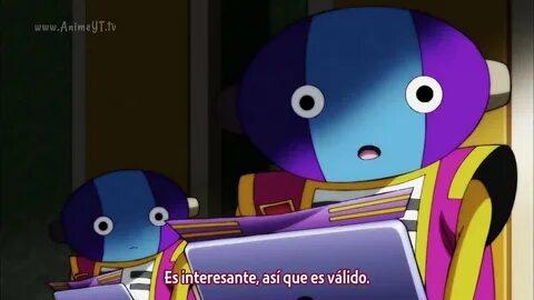 Zeno daily