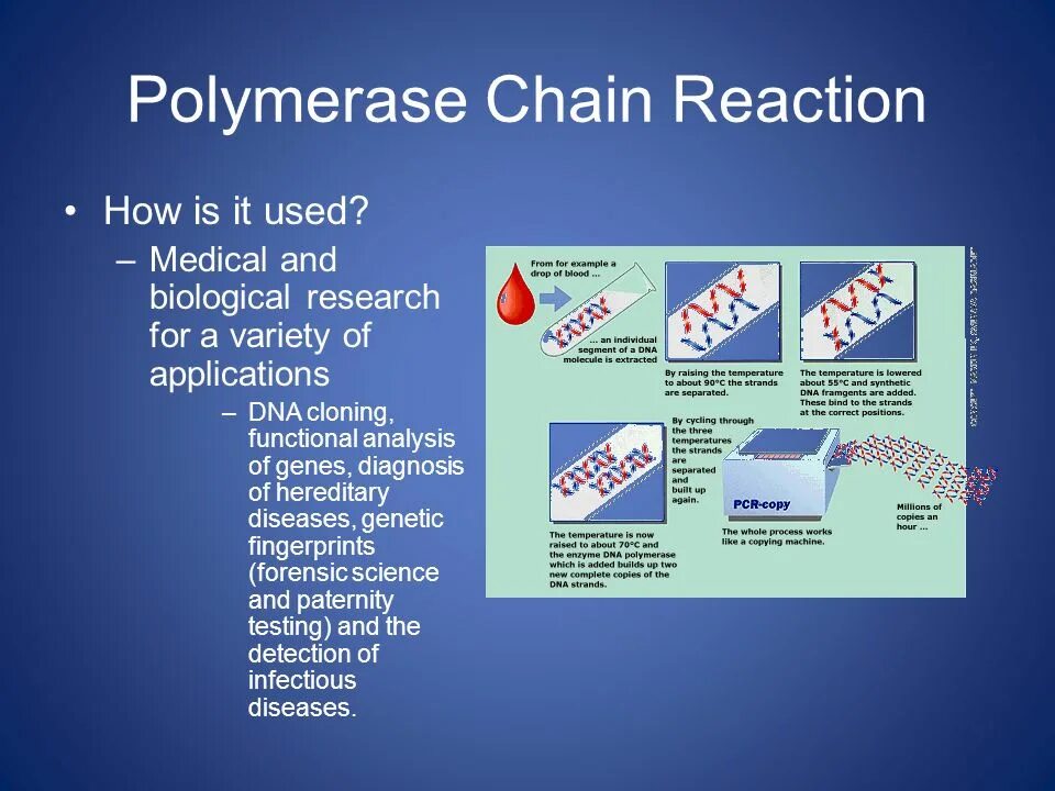 Источник https chemer ru services reactions chains. Polymerase Chain Reaction (PCR). PCR реакция. PCR Chain Reaction. Polymerase Chain Reaction Reaction.