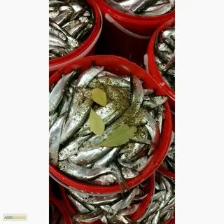 Килька распространена в дальневосточной кухне