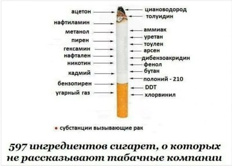 Состав сигареты. Строение сигареты. Вред курения таблица. Содержание веществ в сигарете.