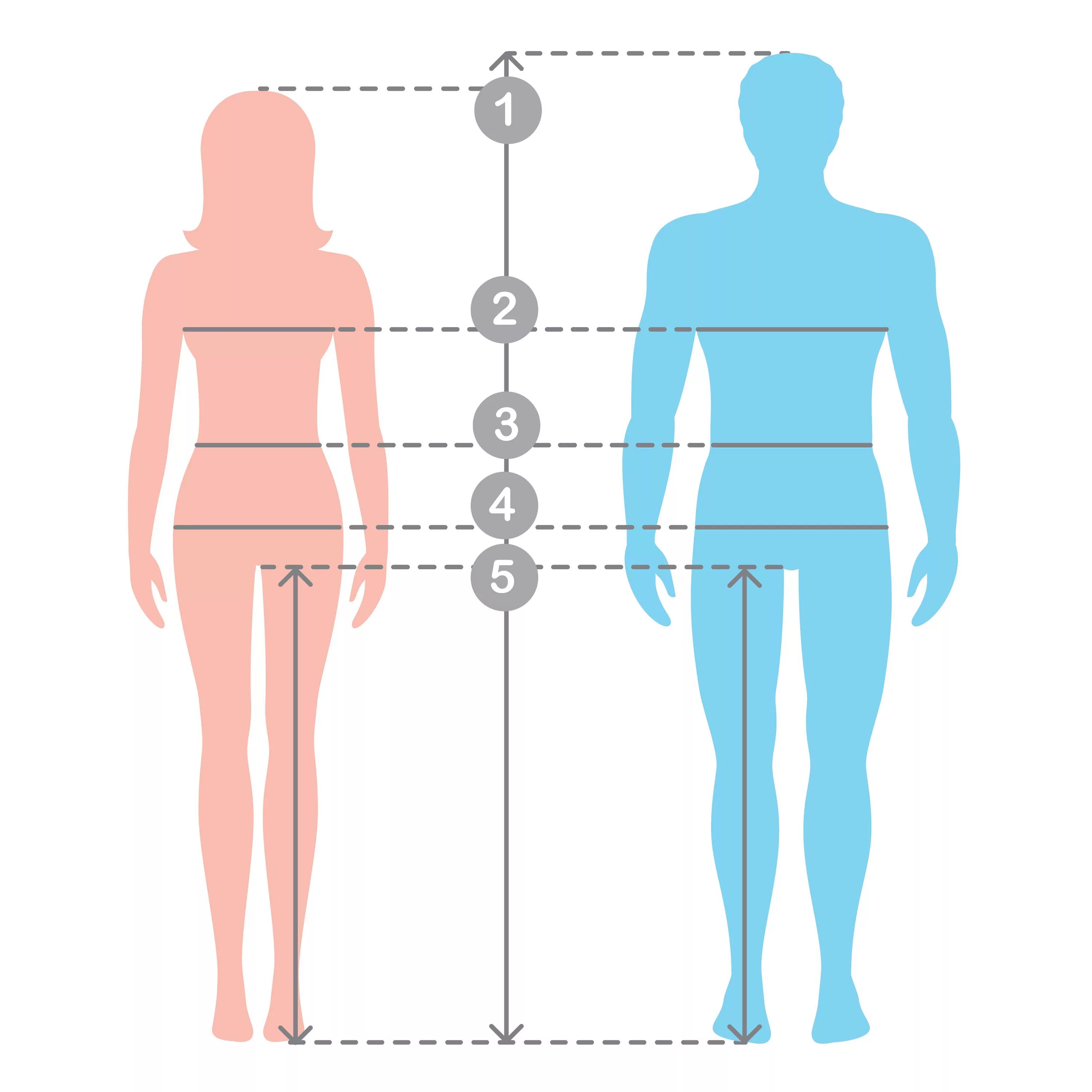 Муж и жен размеры. Замеры человека. Мужская и женская фигура. Измерение размеров тела человека. Фигура мужчины и женщины.