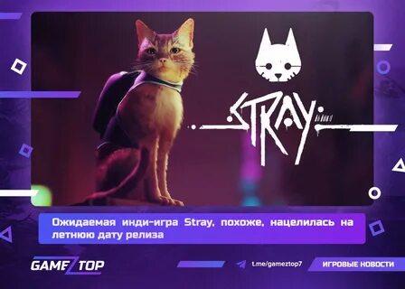 Stray похожие