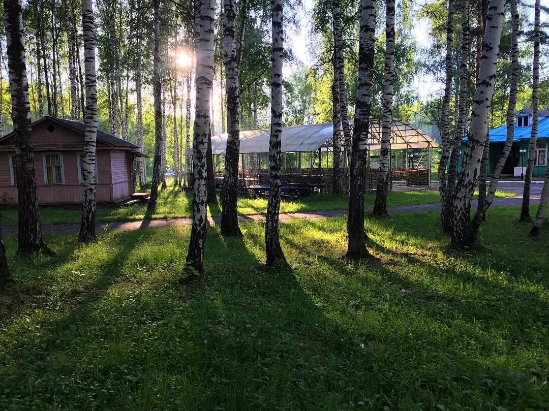 Березки павловский. Дом отдыха Березка Нижегородская область. Турбаза Березка Нижегородская область Павловский район. Чкаловский район база отдыха Березка. Турбаза Березка Нижегородская область Чкаловский район.