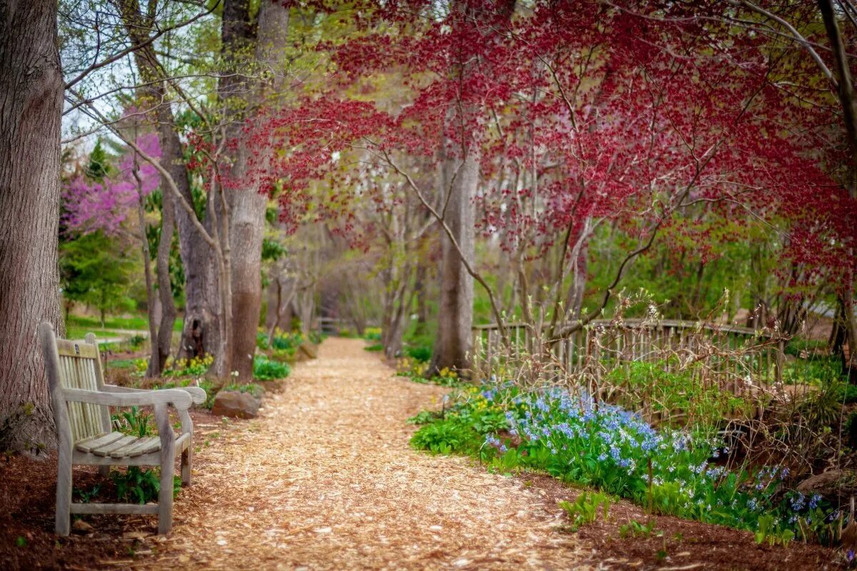 Background park