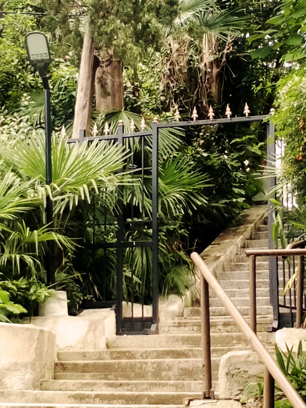 очарование моря 3 отель сочи. отель очарование моря хоста. очарование моря 3 отель сочи. очарование моря отель сочи. очарование моря отель сочи.