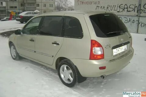 502 дыня
