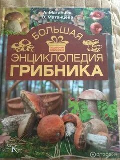 Справочник грибника