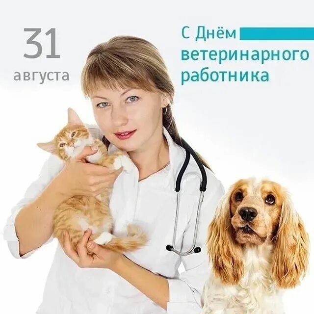 Международный день ветеринарного врача поздравление. С праздником ветеринара. Поздравление с днем ветеринарного работника. С днем ветеринара. С днем ветеринарного врача.