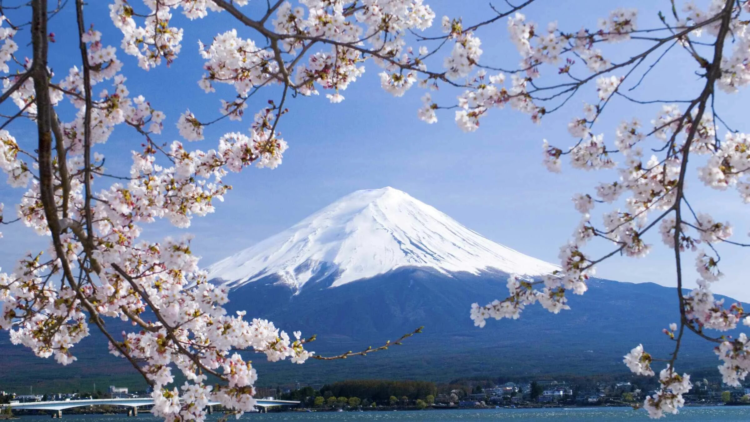 Фудзияма каталог. Фудзияма Япония. Гора Фудзияма в Японии. Гора Фудзияма и Сакура. Япония гора Фудзияма и Сакура.