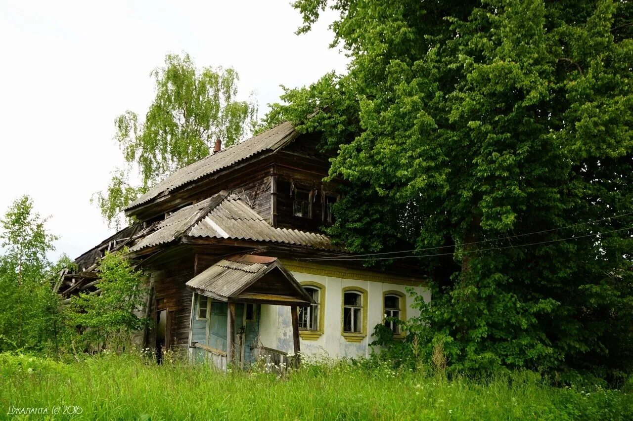 Деревня россия новгородской области. Заброшенные деревни Новгородской области Боровичского района. Заброшенные деревни Новгородской области Марёвский район. Заброшенные деревни Крестецкого района Новгородской области. Заброшенные деревни Новгородской области.