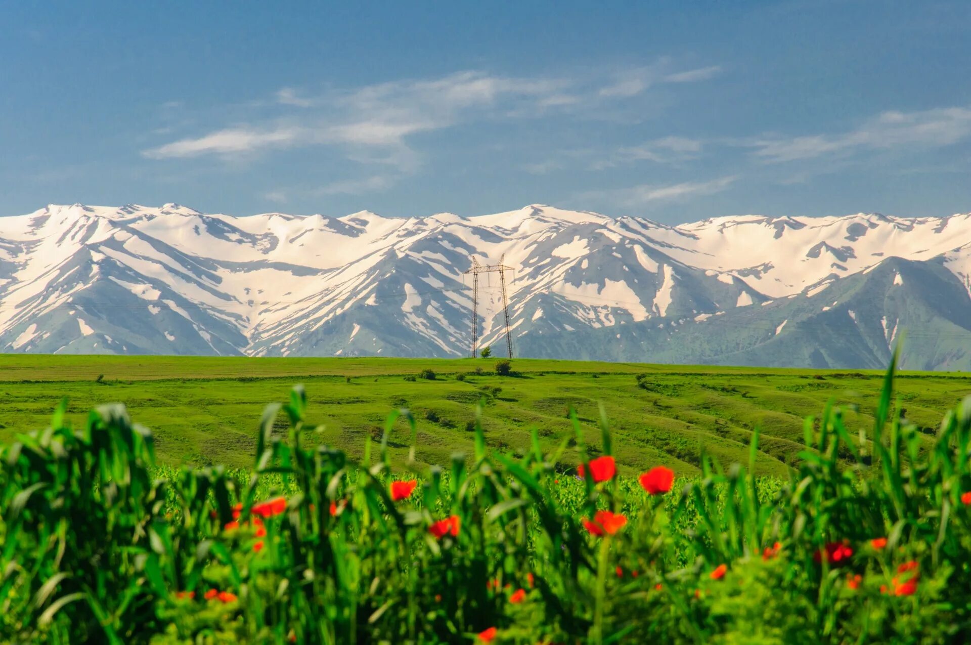 Юг казахстана